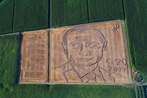 Vẽ chân dung khổng lồ Tổng thống Putin trên cánh đồng Italy