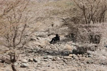 Dân khốn khổ vì hạn hán kinh hoàng ở Kenya