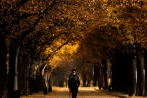 Mê đắm cảnh sắc mùa thu chớm đông tuyệt đẹp khắp thế giới