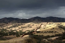 Ấn tượng những đường biên giới giữa các quốc gia