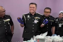 Malaysia bắt giữ 104 người Trung Quốc tham gia lừa đảo trực tuyến