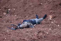 “Thống đốc” IS bỏ mạng tại tỉnh Anbar, Iraq