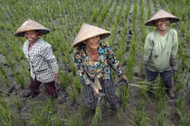 Ấm lòng những khoảnh khắc hạnh phúc giản dị trong cuộc sống