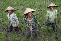 Ấm lòng những khoảnh khắc hạnh phúc giản dị trong cuộc sống