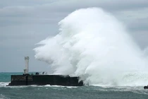 Danh tính 2 người Việt trên tàu bị chìm do bão Hagibis