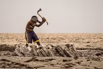 Cảnh lao động nhọc nhằn của thợ mỏ muối Ethiopia 