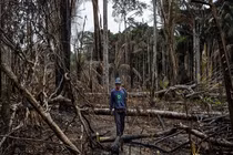 Khốc liệt cuộc chiến bảo vệ rừng của các bộ lạc Amazon