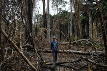 Khốc liệt cuộc chiến bảo vệ rừng của các bộ lạc Amazon