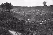 Thước hình khó quên về nội chiến Mỹ 