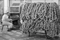 Cực hiếm loạt ảnh hoài niệm cuộc sống thời Liên Xô cũ