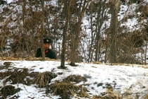 Cuộc sống nông thôn Triều Tiên bên bờ sông Áp Lục