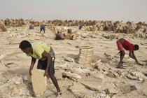 Cuộc sống ở nơi nóng nhất hành tinh như thế nào?