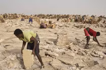 Cuộc sống ở nơi nóng nhất hành tinh như thế nào?