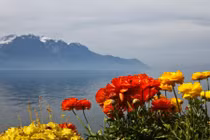 10 lý do khiến Thụy Sĩ hút hồn du khách