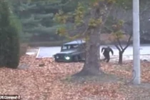 Lính Triều Tiên trốn sang Hàn mang kháng thể bệnh than nguy hiểm