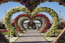 Lạc vào những khu vườn đẹp như trong truyện cổ tích