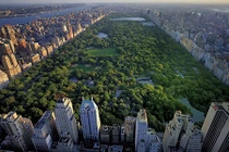 Central Park - Mảng xanh khổng lồ giữa New York