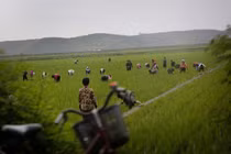 Vén màn bí mật cuộc sống của người nông dân ở Triều Tiên