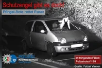 Hy hữu bồ câu "cứu" tài xế phóng nhanh thoát án phạt