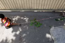 Nhói lòng bé gái bị trói chân giữa cái nóng 40 độ C