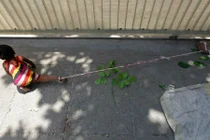 Nhói lòng bé gái bị trói chân giữa cái nóng 40 độ C