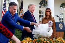 Điều bất ngờ trong lễ xá tội gà tây lần thứ ba của ông Trump tại Nhà Trắng