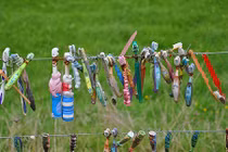 Những hàng rào "quái dị" khiến khách du lịch mê mẩn ở New Zealand