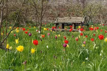 Choáng ngợp những khu vườn đẹp nhất Vương quốc Anh