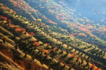 Cảnh đẹp mê hồn ở tỉnh Cam Túc Trung Quốc