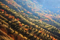 Cảnh đẹp mê hồn ở tỉnh Cam Túc Trung Quốc