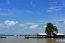 Ảnh: Cảnh tượng ngập lụt nghiêm trọng ở Ấn Độ