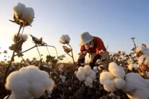 10 hình phạt kỳ quái nhất hành tinh