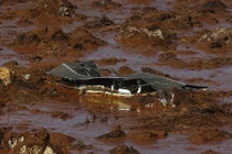 Hình ảnh vỡ đập kinh hoàng ở Brazil