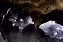 Cận cảnh vấn nạn săn lùng ngà voi ma mút ở Nga