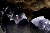 Cận cảnh vấn nạn săn lùng ngà voi ma mút ở Nga