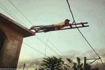 Chết cười với những hình ảnh hài hước trên thế giới