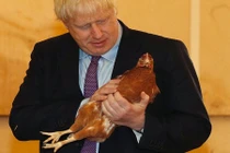 Sửng sốt tuần làm việc đầu tiên của tân Thủ tướng Anh