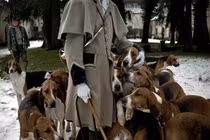 Đi dạo trong rừng, cô gái mang thai bị chó săn cắn tử vong