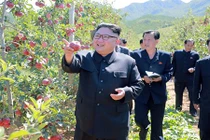 Lãnh đạo Kim Jong-un cười tươi thăm vườn táo trĩu quả