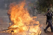 Chùm ảnh xung đột bùng phát tại Uganda