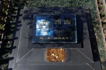 Ghé thăm nghĩa trang dành cho thú cưng ở Trung Quốc