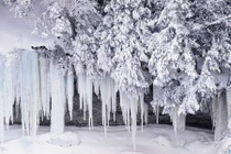 Hình ảnh cái lạnh khủng khiếp trên thế giới