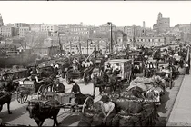 Ảnh hiếm về thành phố Sydney hồi thập niên 1900