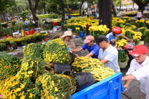 Hành động đập nát hoa chiều 30 Tết là sự hằn học “không ăn thì đạp đổ” 