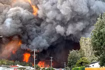 Hãi hùng cảnh cháy rừng dữ dội như tận thế ở Australia