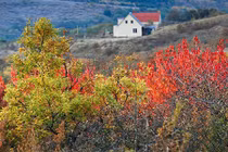 Cảnh sắc trời thu đẹp hút hồn ở Crimea