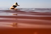 Cận cảnh hồ nước Urmia “đỏ như máu” ở Iran