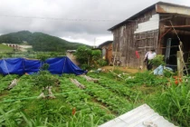 Chồng giết vợ chôn xác rồi viết thư tuyệt mệnh, tự tử