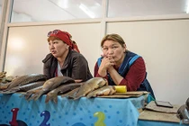 Cuộc sống hồi sinh ở làng Tastubek ven “biển chết” Aral