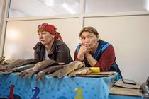 Cuộc sống hồi sinh ở làng Tastubek ven “biển chết” Aral